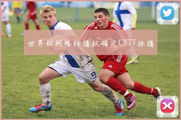 世界杯网络转播权确定CNTV独播