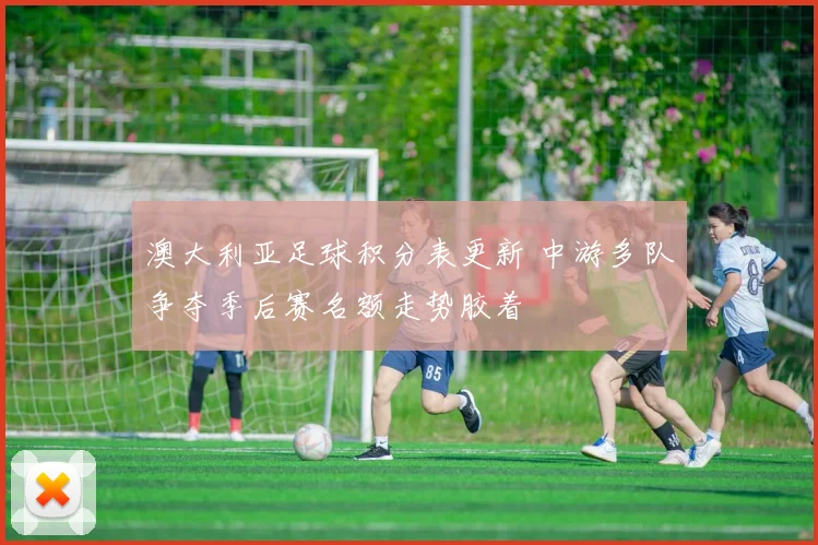 澳大利亚足球积分表更新 中游多队争夺季后赛名额走势胶着