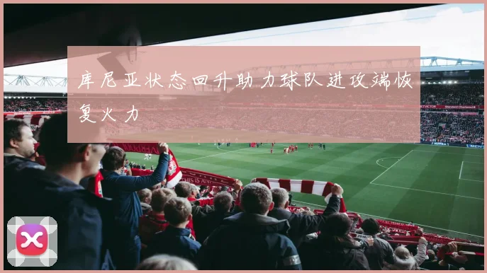 库尼亚状态回升助力球队进攻端恢复火力