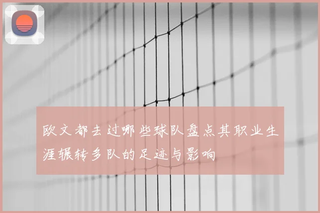 欧文都去过哪些球队盘点其职业生涯辗转多队的足迹与影响